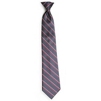 Striped Color Clip-On Ties