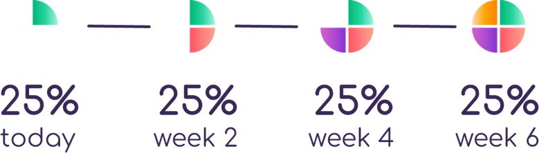 Pay 25% today, 25% week 2, 25% week 4, 25% week 6