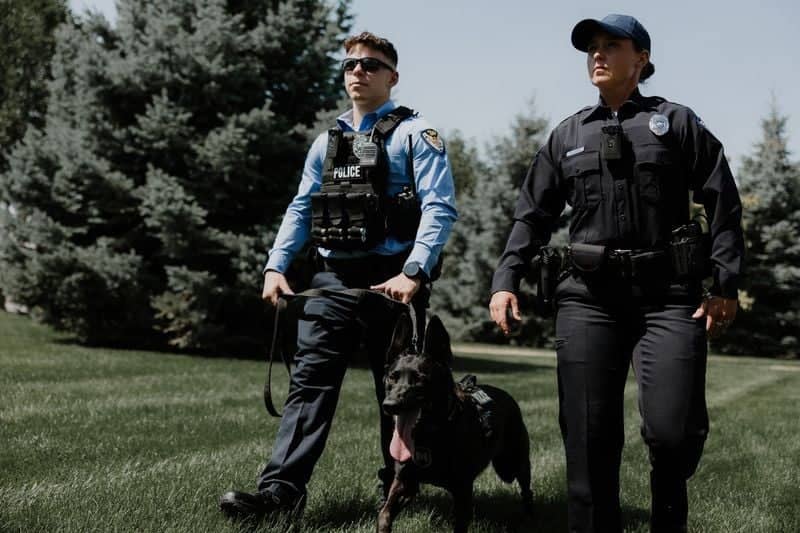 Police officers with K9