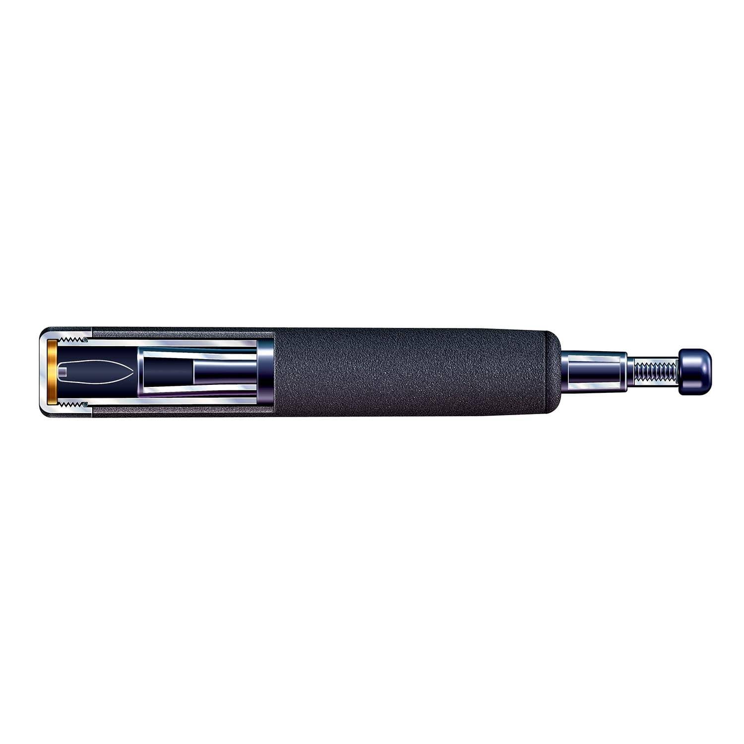 ASP 21