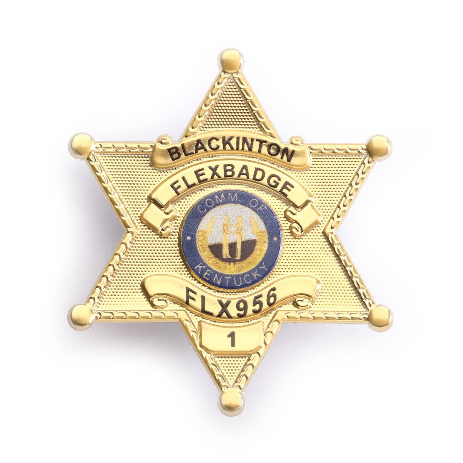 BLACKINTON FLEXBADGE FLX956 6-POINT STAR