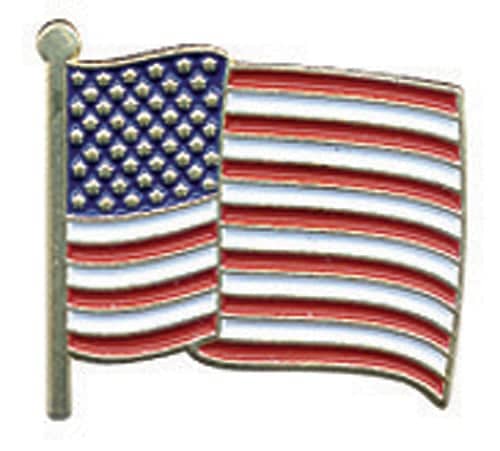Hero's Pride Enameled USA Flag Pin (3/4" high)
