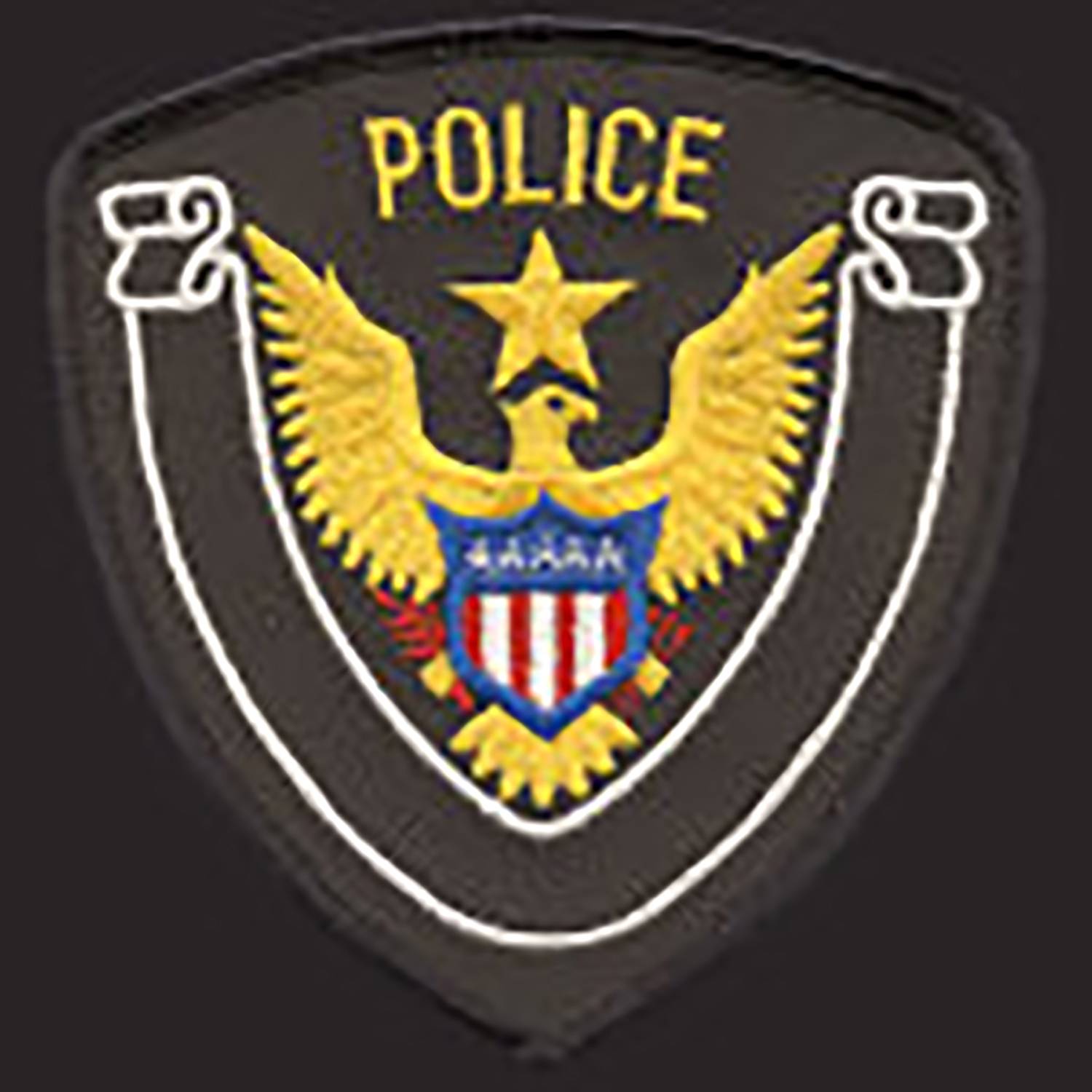 Premier Emblem Police Department Eagle Patch
